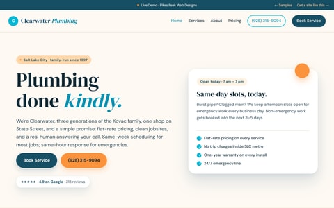 Clearwater Plumbing demo home page screenshot